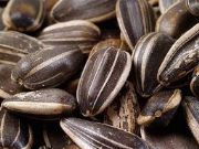 images/sicoin/productos/87-1