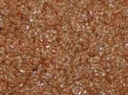 images/sicoin/productos/88-1