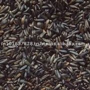 images/sicoin/productos/90-1